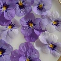 适合心烦时发的朋友圈