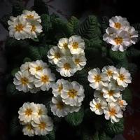 人生的路上励志句子 关于人生唯美励志句子