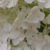 被两个男人一起进高c了*（早就想在学校要你了）