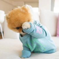 又老了一岁的唯美句子 一句生日寄语致自己