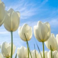 幼儿园口号霸气押韵