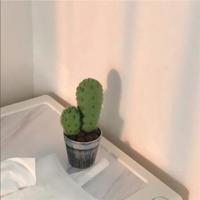 一女五男羊上树玩法是啥 在浴室边摸边吃奶边做