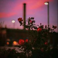 英语老师解开裙子坐我腿中间 全文在线阅读