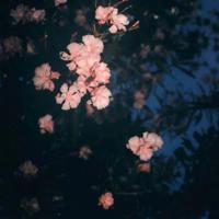 小朋友友谊的句子唯美 关于友情的唯美的句子