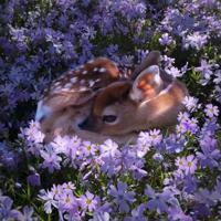 期末考试考前鼓励话语