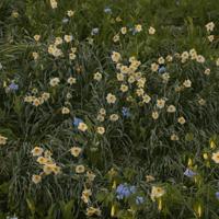 起床早上好的说说朋友圈