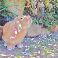 房地产销售个人格言