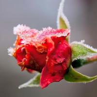 夫妻间的祝福语