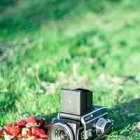 朋友圈发说说搞笑说说大全