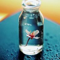 搞笑包涵女性的青春个性说说