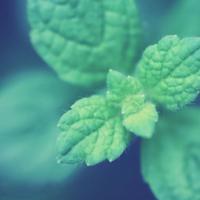 少妇人妻呻呤 口述爱爱好爽细节过程