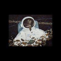 表白短句情话20字内 最浪漫最感人的告白情话~