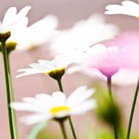 伤感爱情经典语录短句