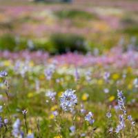 激励人生名言名句大全 非常经典励志短句