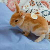 手指在湿润的缝里滑动 好烫太多了肚子鼓起来了