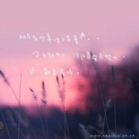 雪中悍刀行爱情经典语录