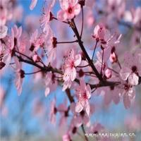 幸福简单珍惜知足的话/幸福短句