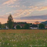 凄凉优美的句子，凄凉却美到让人窒息