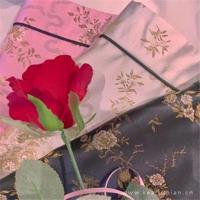 心累且无人理解的话语，心累句子