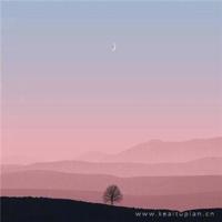 野花视频在线观看免费播放高清,kitty磁力兔子