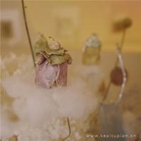 抖音里的说说短句心情不好