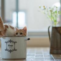 人生经典语录短句 人生经典语录大全