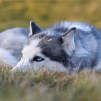 关于给高考生加油的励志语录大全