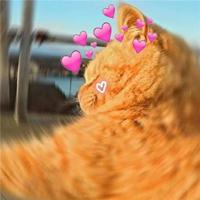 为爱等待的语句