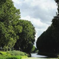 一下比一下深*（做错一题进去一次c顾小西）