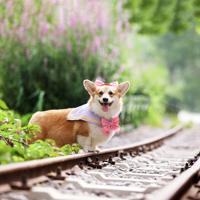 抖音最火短句最新 抖音的情感短句怎么弄