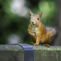 眼泪的说说心情签名，句句戳中泪点