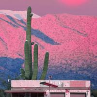 我要吃你的奶小妖精 宝贝我要吃你的花玫瑰核