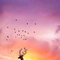 小东西还是第一次 1000字让人下面有反应的文章