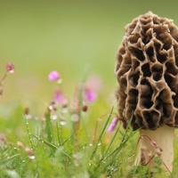 晚安励志心语正能量