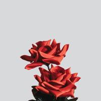 上楼梯也要连在一起 说说你们在地铁被顶的事