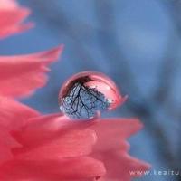 我被闺蜜带到密室调教GL小说 双腿大开被手指性调教小说无删减全文阅读