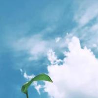 句句经典顿悟人生语句 心态一句话