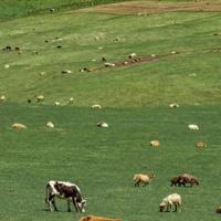 青春励志语录短句 激励人心努力奋斗的话