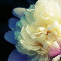 晚上他是怎么弄你的*（宝宝是我撞进入还是你坐下来）