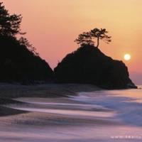 办公室揉着她两个硕大的乳球 一回家狗狗就要上我全文在线阅读