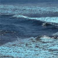 简短又打动人的句子