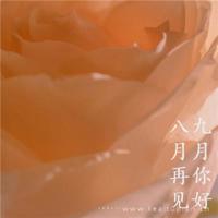 很黄很激烈的床震小说*（1000字让人下面有反应的文章）