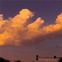 乱女小芳全集第一章 御书屋自由阅读的小说阅读海棠