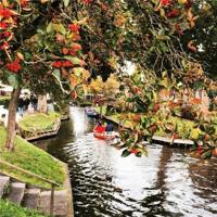 抖音2021最火的伤感句子