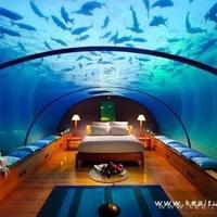 女主男奴,五个闺蜜的疯狂互换