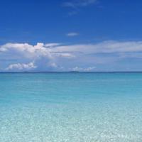 我的体力你试试就知道了 他说蹭蹭但突然进去了