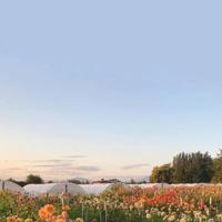 余生致自己的心情文案，句句小清新