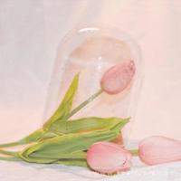 五个闺蜜的疯狂互换 乱系列全文阅读全文目录