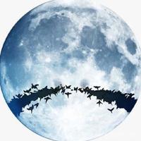 小东西这样马上舒服吗 交换美妇系列