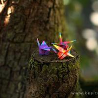 搞笑的开业祝福语